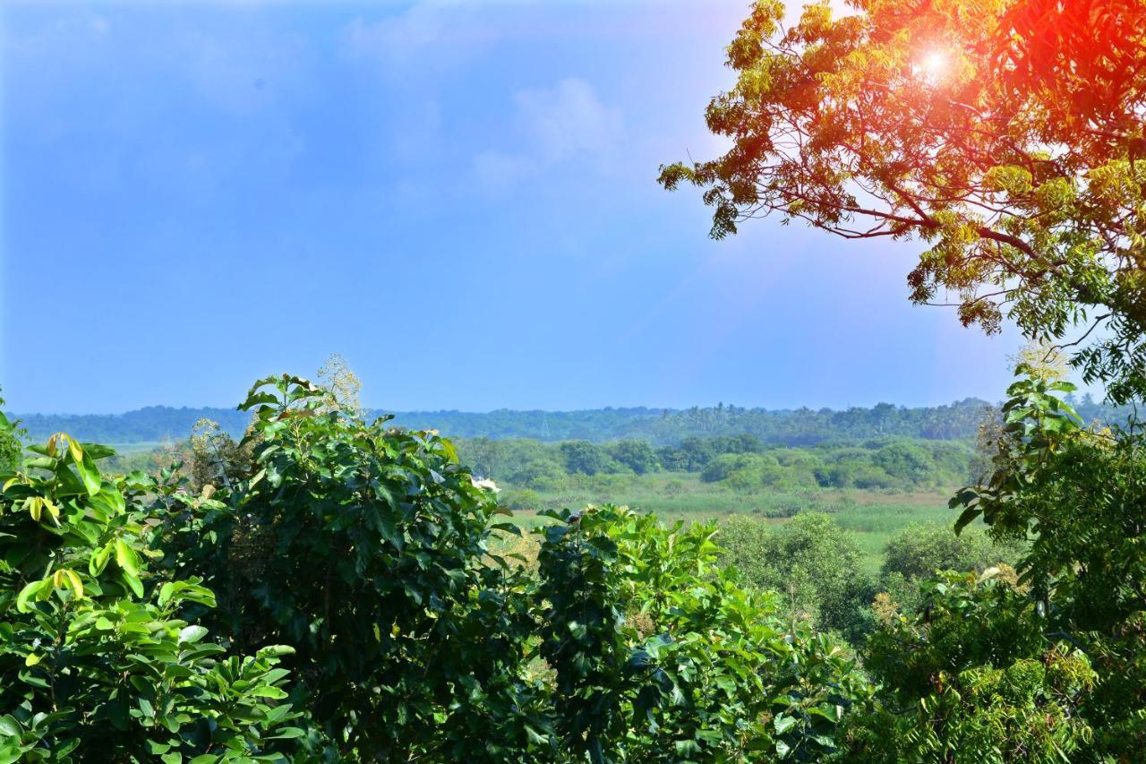 Randu Homestay And Restaurant 탕갈레 외부 사진